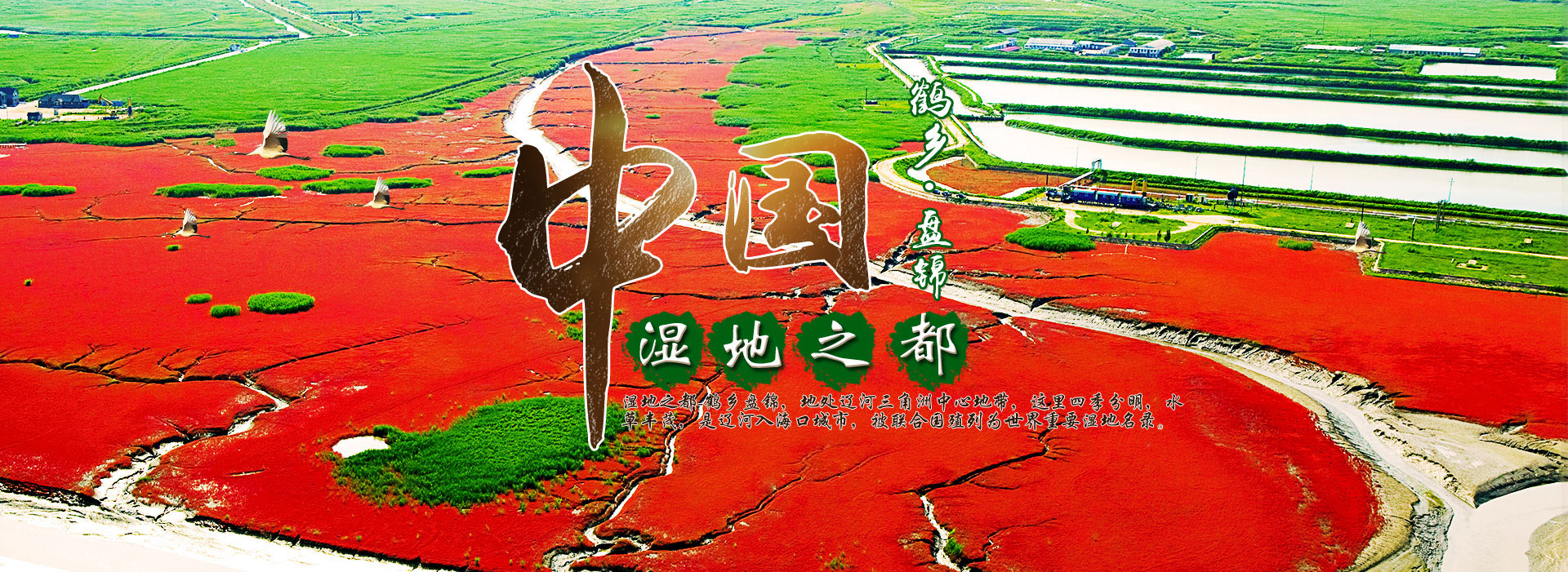 山東科銳爾激光設(shè)備有限公司